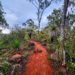 Little Eagle View Walk Trail Training Hike - Adventure with Purpose ...