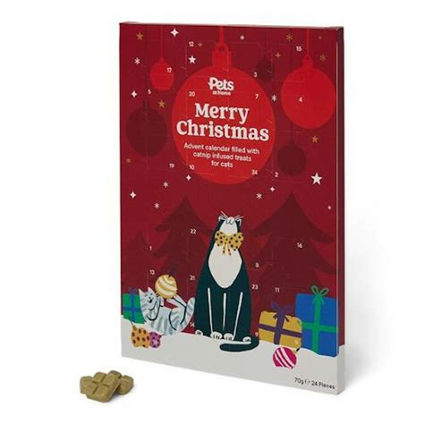 Best cat Advent calendars for a furry festive countdown
