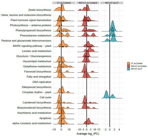 Unveiling Molecular Mechanisms of Nitric Oxide-Induced Low-Temperature ...