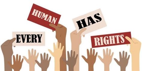 Human Rights Day 2025: History, Significance & Why It Is Celebrated ...