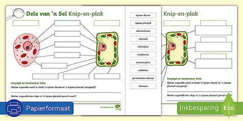 Dele van 'n Sel Sny-en-Plak Werkkaart