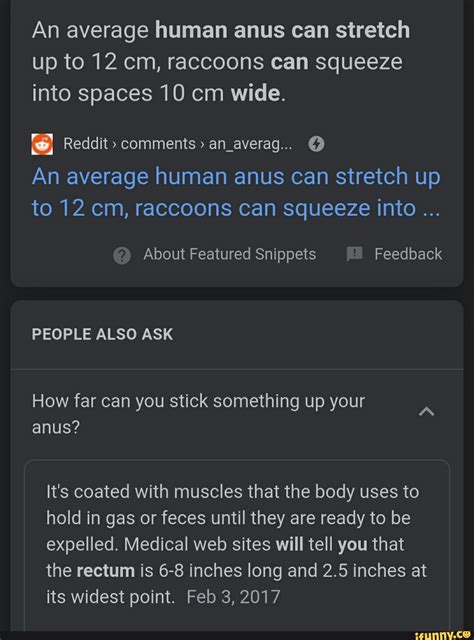 An average human anus can stretch up to 12 cm, raccoons can squeeze into spaces 10 cm wide. An ...