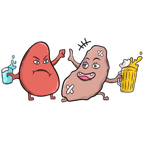 Healthy And Sick Kidney, Kidney, Kidney Organ, Kidney Care PNG ...