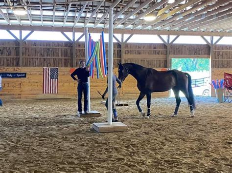 Versatility Clinic with Peter Whitmore, 346 Madison Street, Wrentham ...