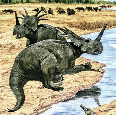 The scariest and most dangerous dinosaurs – Artofit