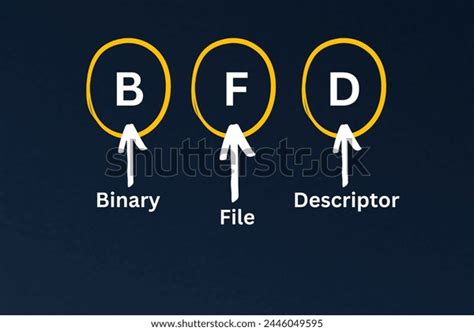 Image result for File Descriptor