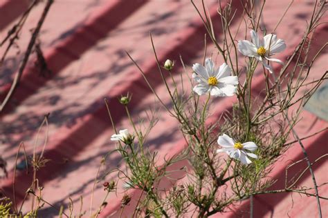 Ahaldara 360° view point homestay