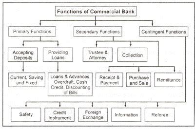 Commercial Banking and Function Class 12th 的图像结果