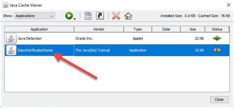 Java Plugin for Internet Explorer 的图像结果