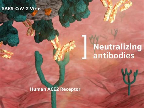 Answering the call to address the COVID-19 pandemic - Siemens ...