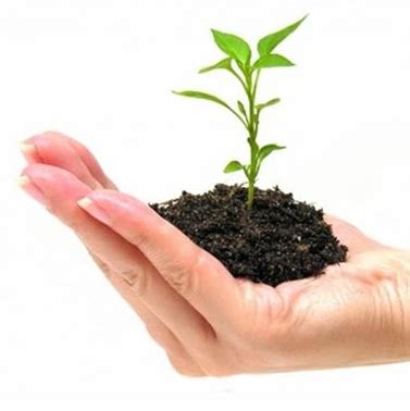 Small Business Management 的图像结果