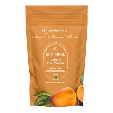 Buy EARTHFUL PLANT PROTEIN FOR STAMINA- ALPHONSO MANGO - LARGE PACK ...