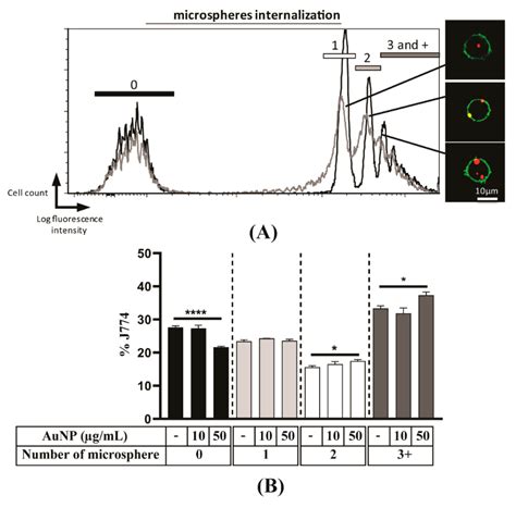 Impact of Gold Nanoparticles on the Functions of Macrophages and ...