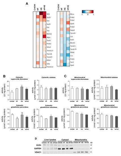 Western Diet Causes Obesity-Induced Nonalcoholic Fatty Liver Disease ...