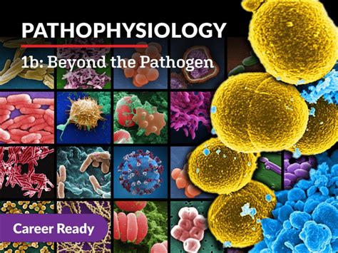 Image result for Free Pathophysiology Course