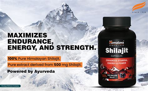 Buy Himalaya Shilajit Capsules - Enhances Stamina, Energy and Power ...