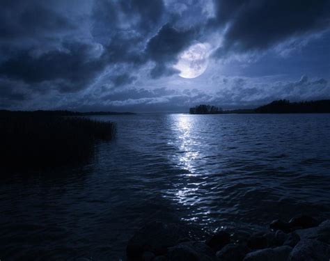 月光下的云海图文话题讨论