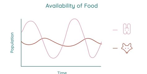 Prey And Predator Examples