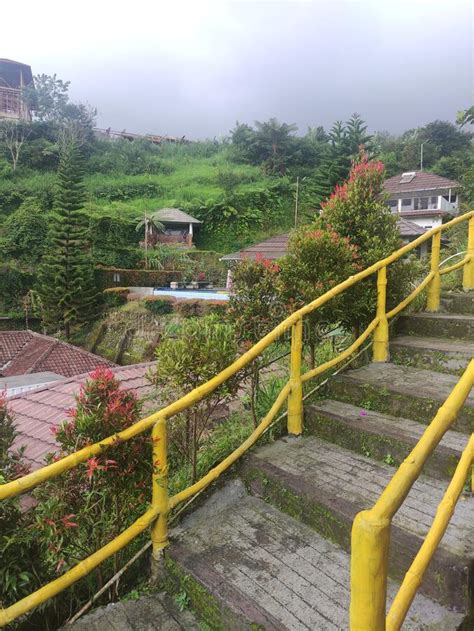 Image result for Cool View