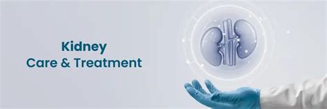 Kidney Care and Treatment in Vizag | Medicover Hospitals