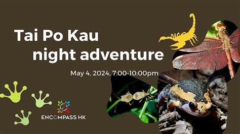 Tai Po Kau Night Adventure, Tai Po Kau Nature Reserve, 4 May 2024 ...