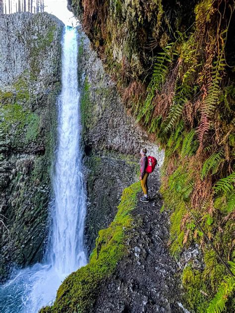 Tunnel falls via eagle creek everything you need to know about this ...