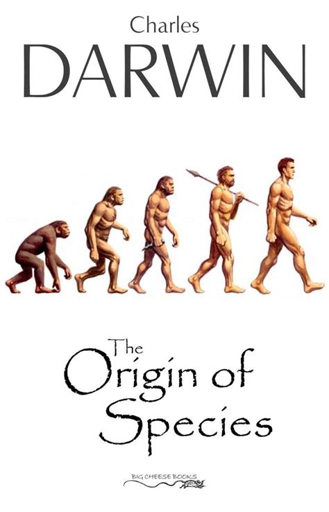 Evolution Book 的图像结果