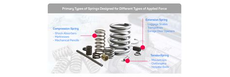 Spring Force Examples 的图像结果
