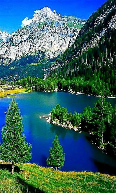 World Nature 的图像结果