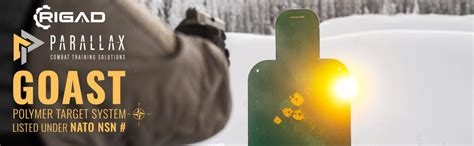 Image result for Sentinel Program