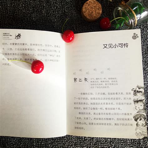 笑猫日记系列新书23 24集 杨红樱作品 樱花巷的秘密 又见小可怜 文轩网正版图书-文轩网旗舰店-爱奇艺商城