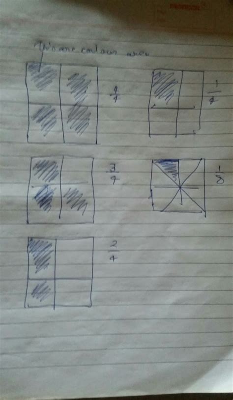 write 5 proper fractions and draw them pictorially. - Brainly.in