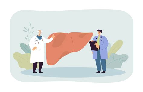Liver Transplant: Criteria, Procedure, Risks, Recovery & Success Rates