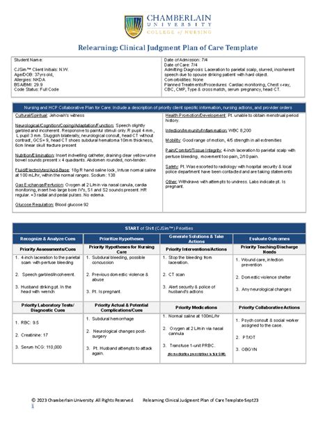 CJE Plan of Care Template Wk 8 - Student Name: CJSim™ Client Initials ...