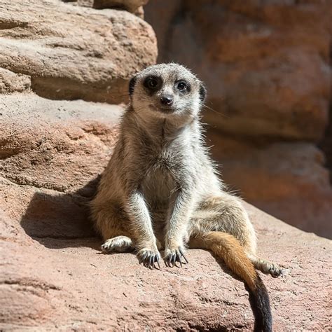 Careers - Pittsburgh Zoo & Aquarium