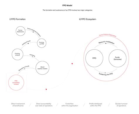 Krimkro Project | Naomi Rohilla
