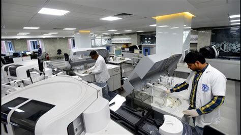 Looking at cancer care through the gender lens