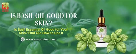 Basil Oil: 11 Powerful Benefits and Uses You Need to Know | AOS Blog