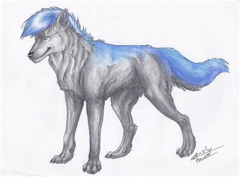 Jack the Wolf by Liliandril on DeviantArt