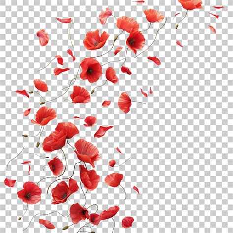 Petals poppy falling in the air Beautiful flower in nature concept AI ...