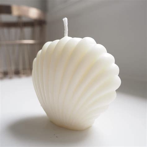 Closed Shell Small WCM440(own) – MATIN IMPEX