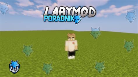 Image result for How to Install Laby Mod