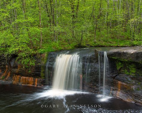 Wolf Creek Falls | MN1360SP | Gary Alan Nelson Photography