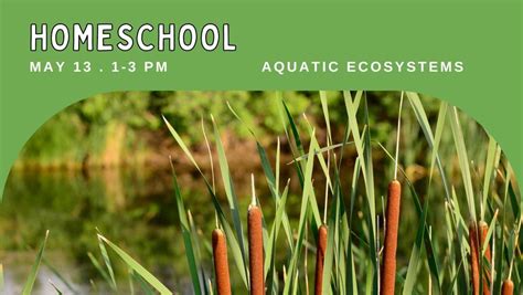 Homeschool: Aquatic Ecosystems, 1000 Rustad Rd, Faribault, MN 55021 ...