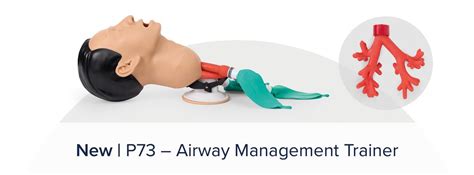 Medical Simulation & Task Trainers for Clinical Education | 3B Scientific