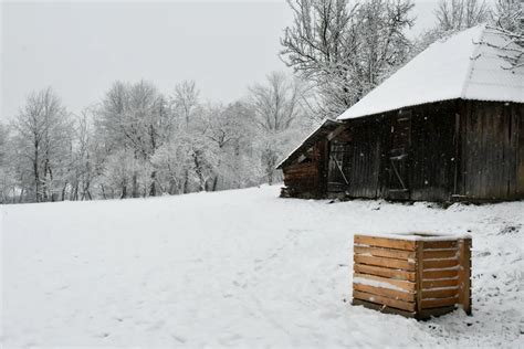 Image result for First Day of Spring