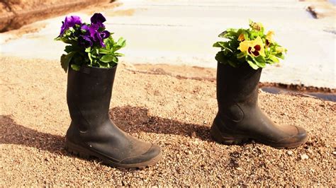 Reuse Examples 的图像结果