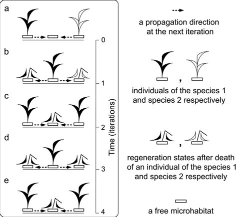 Image result for Competitive Exclusion Example Abingdon Tortoise