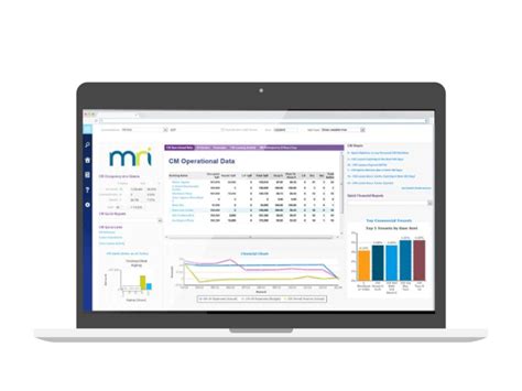 MRI Software Tutorial 的图像结果