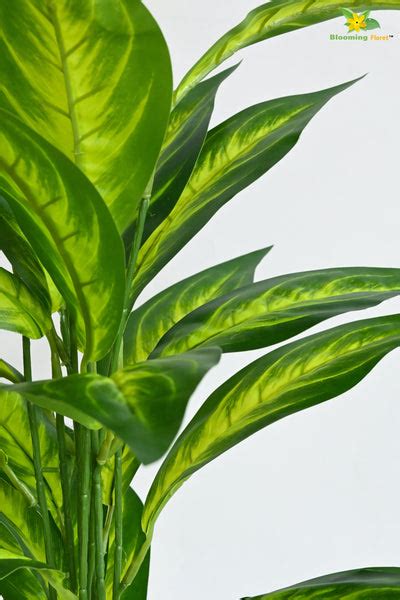 Artificial Dieffenbachia Amoena Plant – 71 cm, 26 Leaves, with Pot ...